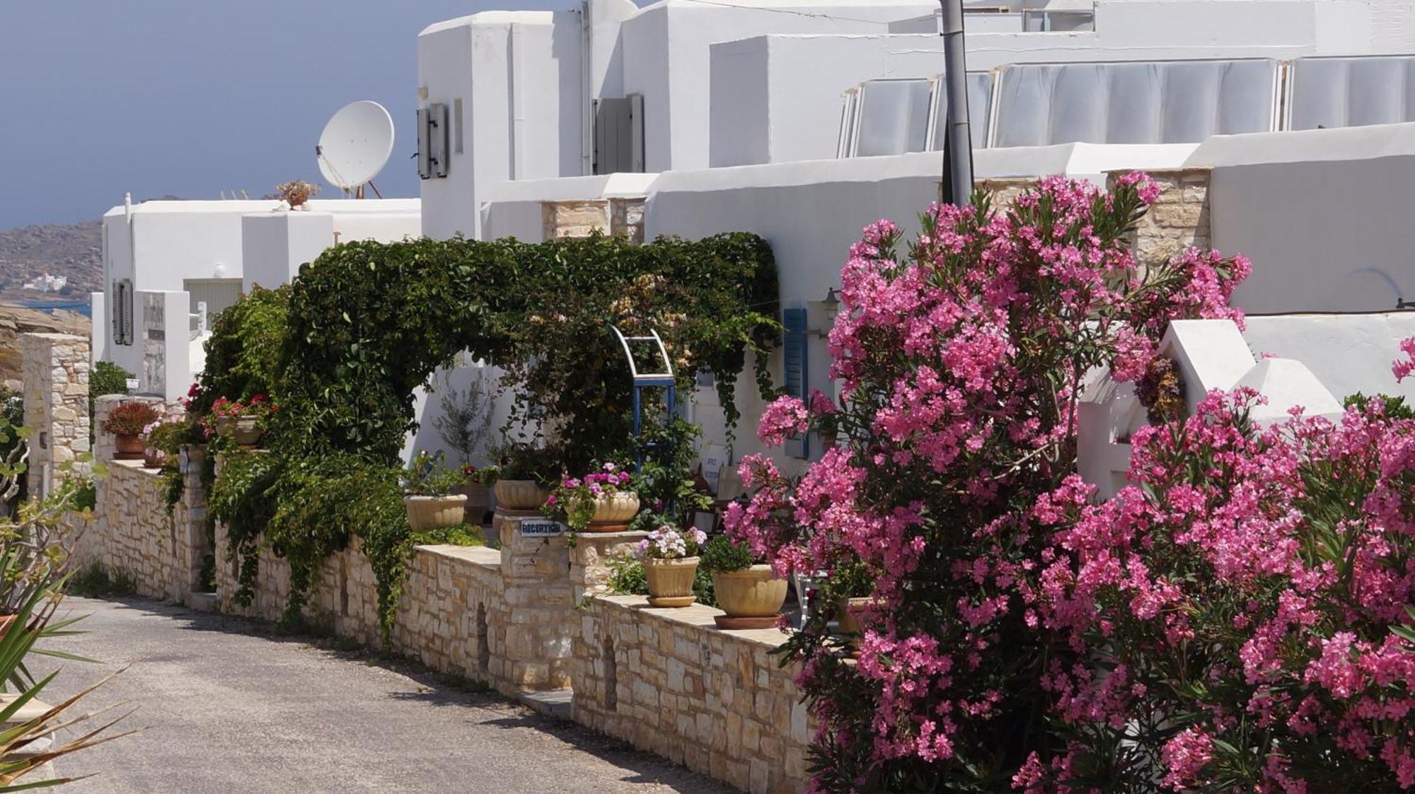 Alexandros Apartments Nausa Pokoj fotografie